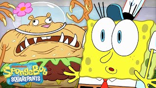 Krusty Krab’s CRAZIEST Services Ever 🍔  30 Minute Compilation  SpongeBob [upl. by Mireielle250]