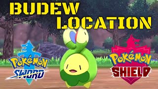 Pokemon Sword And Shield Budew Location [upl. by Yrmac]