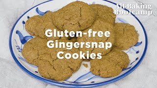 GlutenFree Gingersnap Cookies  AltBaking Bootcamp  WellGood [upl. by Aldric]