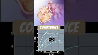 Lung compliance [upl. by Ttenna291]