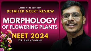 Morphology Of Flowering Plants In One Shot  Detailed NCERT Review  NEET 2024  Dr Anand Mani [upl. by Leacim]