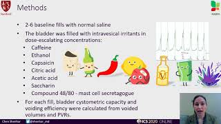 377 A pilot animal model to identify the intravesical bladder irritant cystometric dose respons [upl. by Eisaj241]