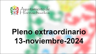 Pleno Extraordinario del 13 de noviembre de 2024 [upl. by Pia787]