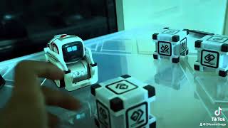 COZMO’s Showdown  Hello COZMO [upl. by Iila]