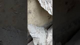 Parging foundation repair Edmonton [upl. by Lia317]