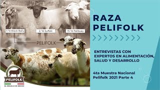 Pelifolk entrevistas con expertos alimentación salud y desarrollo Muestra Nacional Pelifolk 2021 [upl. by Enelyt]