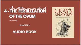 4  THE FERTILIZATION OF THE OVUM  EMBRYOLOGY  CHAPTER 1  ANATOMY OF THE HUMAN BODY  HENRY GRAY [upl. by Ardena321]