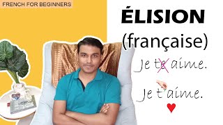 Élision  French pronunciation  Lélision en français [upl. by Dietz913]