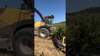 Chopping corn at Merrimart farms [upl. by Jarrell]