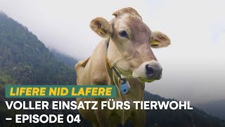 Voller Einsatz fürs Tierwohl  Lifere nid lafere  E04  Swissmilk 2024 [upl. by Carie]