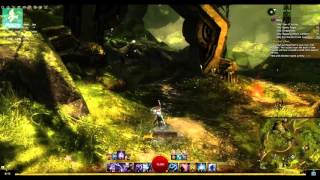 Guild Wars 2 Heart of Thorns  Vengeance Rising Strongbox  Auric Basin [upl. by Dnalwor]