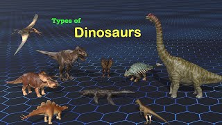 Dinosaur Size Comparison  3d Animation Comparison  Types of dinosaurs [upl. by Hollyanne119]