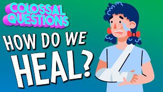 How Do We Heal  COLOSSAL QUESTIONS [upl. by Audres]