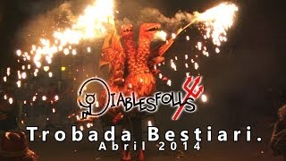 Trobada de Bestiari de Foc Palafolls 2014 [upl. by Annawoj]