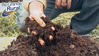 Compostagem com matéria prima de origem 100 vegetal  Programa Rio Grande Rural [upl. by Attevad]