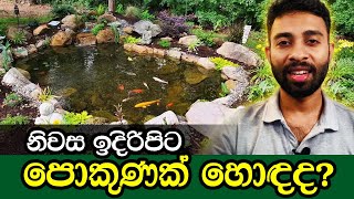 Is it OK to have a pond in front of your home  නිවස ඉදිරිපිට පොකුණක් ස‍ෑදීම සුදුසුද  Pond Vastu [upl. by Fayola189]