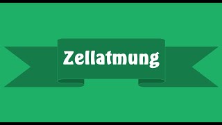 Last minute tutorial Thema quotZellatmungquot  leicht und vollständig erklärt [upl. by Eugnimod220]