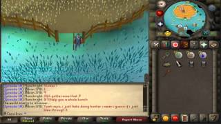 Iron men Tips and tricks episode 4 Puro Puro force spawning dragon implings [upl. by Trutko]