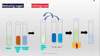 Phytochemical tests for plant material [upl. by Mila647]