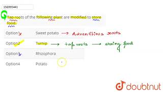 Tap roots of the following plant are modified to store food [upl. by Aitsirt]