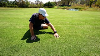 A Day on my Backyard Golf Course [upl. by Ramu]