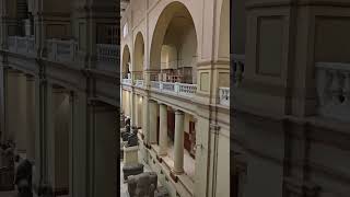 travel Hello Im at the Cairo Museum in Egypt [upl. by Polik]