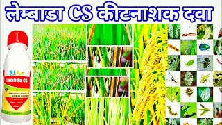 lambda cyhalothrin 49 cs कीटनाशक दवा  dhan ki kheti [upl. by Armington]