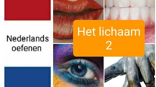 Het lichaam 2  body parts 2  Nederlands leren  NT2  woordenschat  learn Dutch [upl. by Medlin]