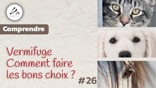 26 Vermifuge naturel pour Chiens et Chats Comment bien lutiliser [upl. by Annayi]