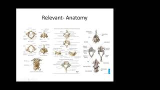 Cervical Spondylotic Myelopathy [upl. by Airdnaz]