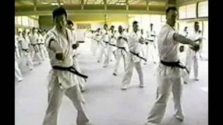 Kyokushin Karate  Best Technique King of Technic Part III [upl. by Ahsenrac980]