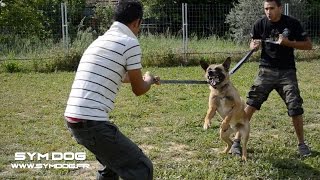 ⚠ REEDUCATION DUN CHIEN TRÈS VIOLENT [upl. by Aguie]