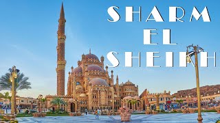 Best Thing To Do in Sharm el Sheikh  Sharm el Sheikh Walking Tour [upl. by Corell739]