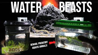 I Added WATER BEASTS to My Volcano Ant Paludarium [upl. by Nabila791]