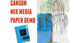 Canson Mix Media Paper Art Demo And Review [upl. by Spillar]