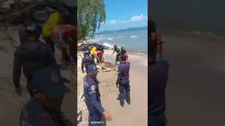 Caimán en playas de Higuerote [upl. by Nnayd217]