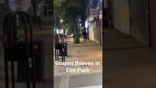 Brazen thieves in Elm Park shorts [upl. by Teufert]