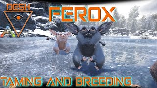 Ferox Taming and Breeding  ARKSurvival Evolved [upl. by Clemente]