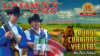 Los Famosos del Bravo Mix  20 Grandes Éxitos Famosos  Puros Corridos Viejitos Mix Para Pistear [upl. by Sage]