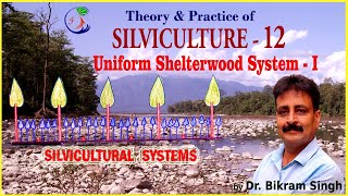 SILVICULTURE  12  The Uniform Shelterwood System  1 by Dr Bikram Singh [upl. by Lower]