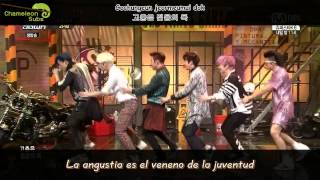 Subs Español 2PM  Go crazy Live 140911 [upl. by Desdamonna]