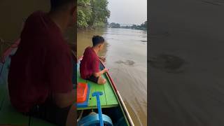 mancing kelabau hulu sungai arutrahmanfishing fishing [upl. by Eldridge]