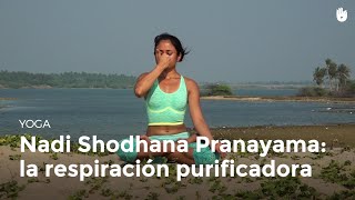 Nadi Shodhana Pranayama la respiración purificadora  Yoga [upl. by Burdett239]