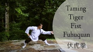 Taming Tiger Fist Fuhuquan [upl. by Amitak262]