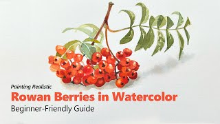 Painting Realistic Rowan Berries in Watercolor  BeginnerFriendly Guide [upl. by Akeylah]