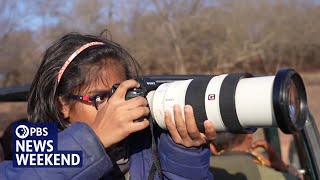 Meet the 10yearold winning international acclaim for her wildlife photography [upl. by Gerek227]