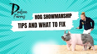 What Krew and Karis did wrong in Hog Showmanship at Gold Rush showpigs pigs [upl. by Alahs]