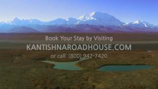 See Denali National Park from Kantishna Roadhouse a Backcountry Lodge in Denali [upl. by Ailes564]