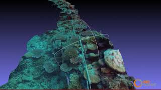 MiniROV Seismic Survey Node Inspection Ocean Bottom Nodes OBC [upl. by Ikceb]