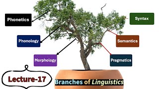 Lecture17 Branches of Linguistics Phonetics Phonology Morphology Syntax Semantics etc [upl. by Saltzman]